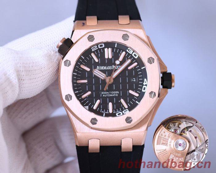 Audemars Piguet Watch APW00064-2